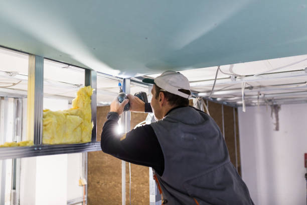 Best Types of Insulation in Roosevelt Gardens, FL