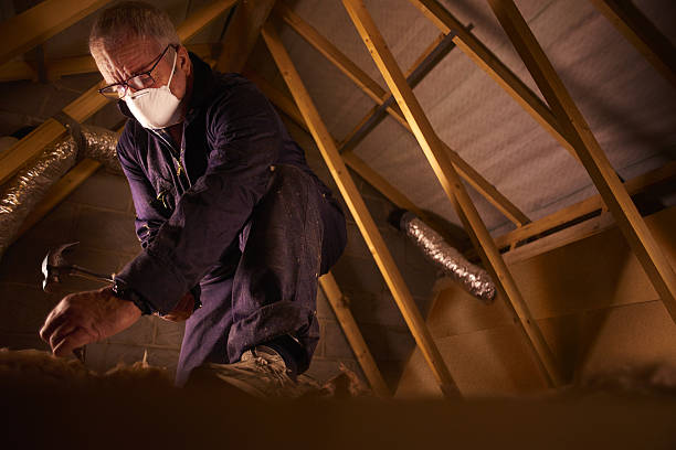 Best Insulation for Specific Applications in Roosevelt Gardens, FL
